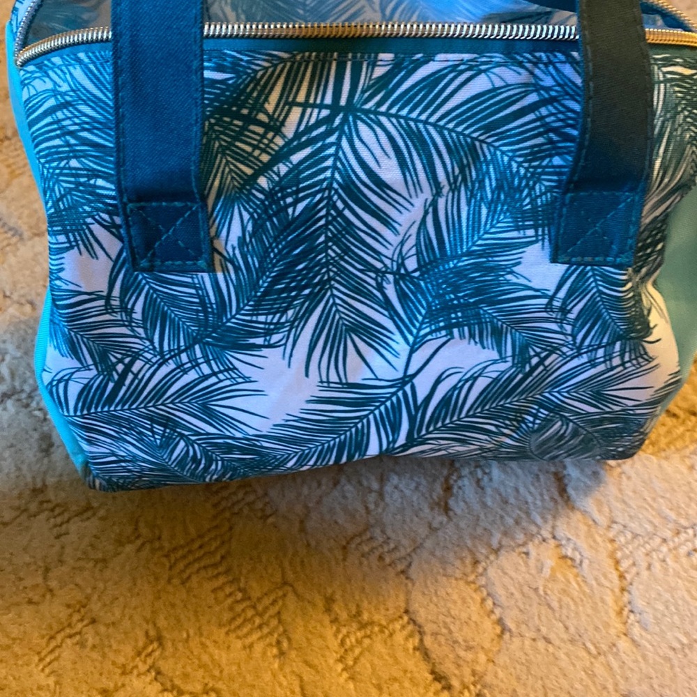 Makeup/ misc bag